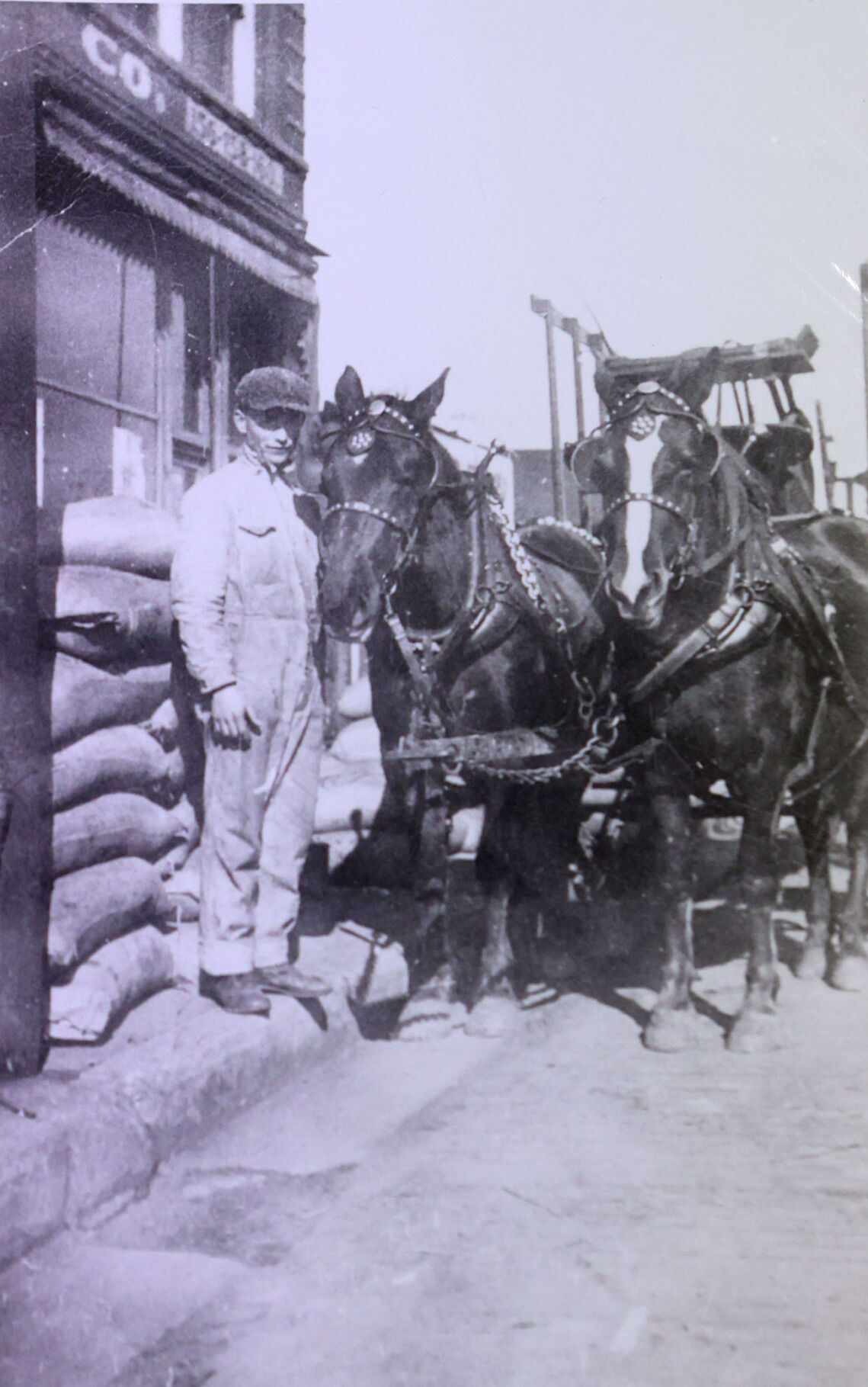 Guyer the Mover 02.jpg